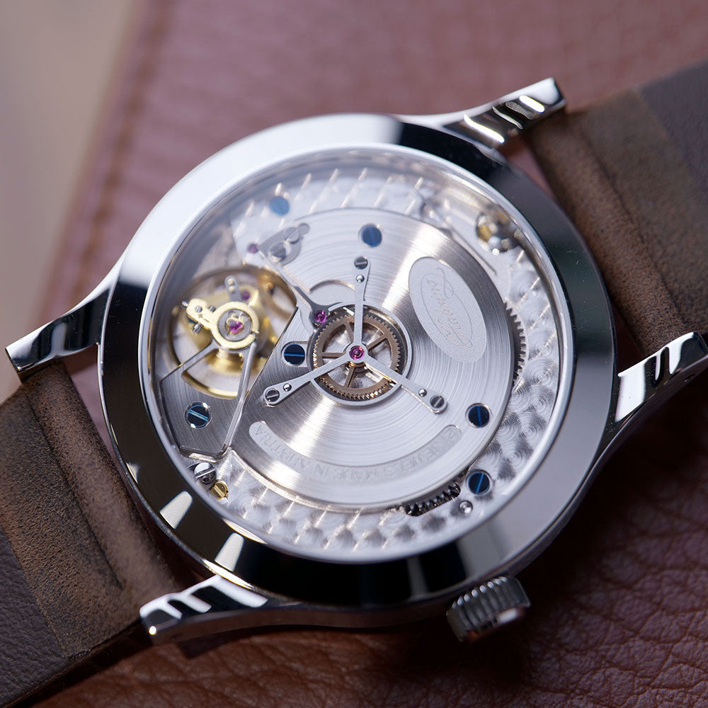 Habring2 Foudroyante-Felix Silver HBR2FDRFLXSLMN